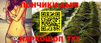 apvp Заводоуковск