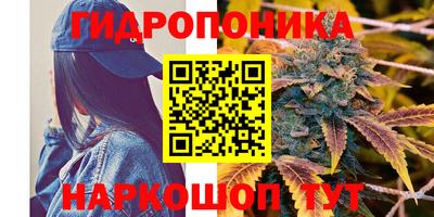 apvp Заводоуковск
