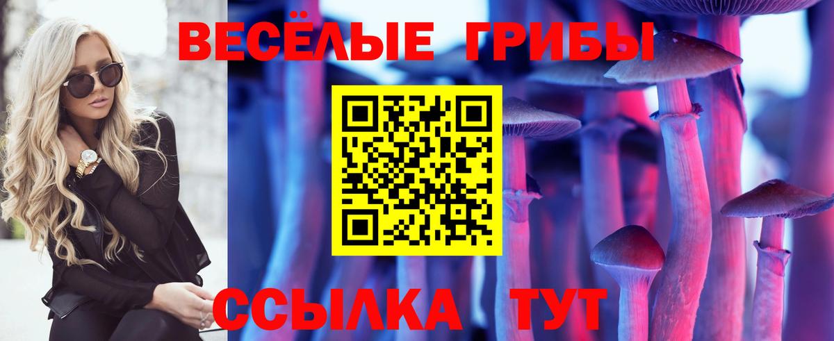 как найти закладки  Псилоцибиновые грибы прущие грибы  Вход с VPN  Назрань 